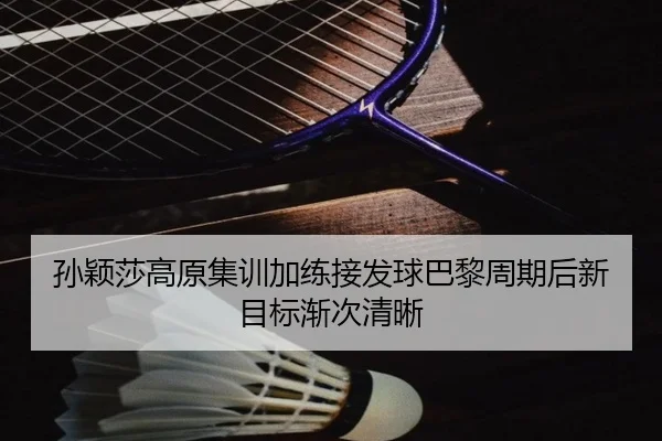 孙颖莎高原集训加练接发球巴黎周期后新目标渐次清晰